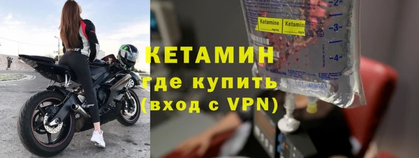 сатива Балахна