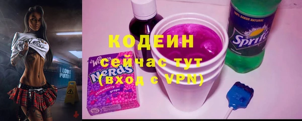 сатива Балахна