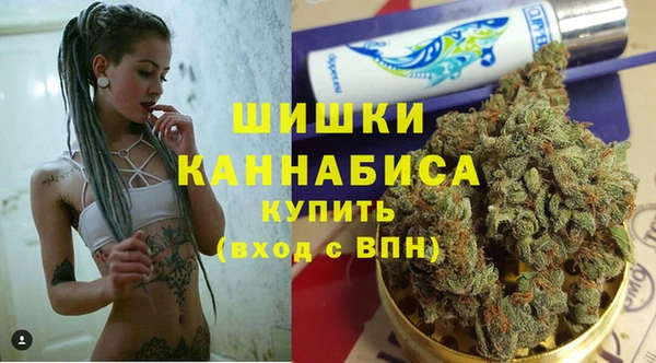 сатива Балахна
