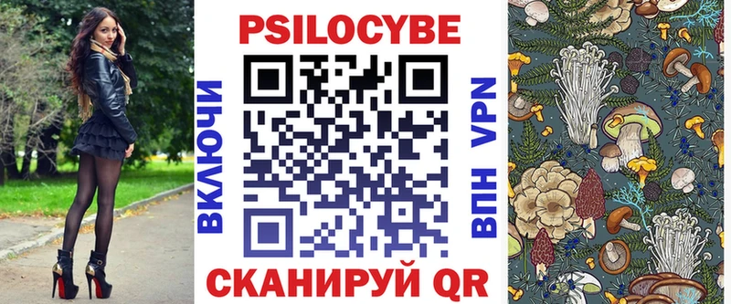 Галлюциногенные грибы Psilocybe  ОМГ ОМГ как войти  Звенигород 